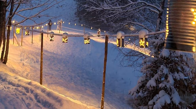 Leuchtender Büchsewäg auf der Grimmialp